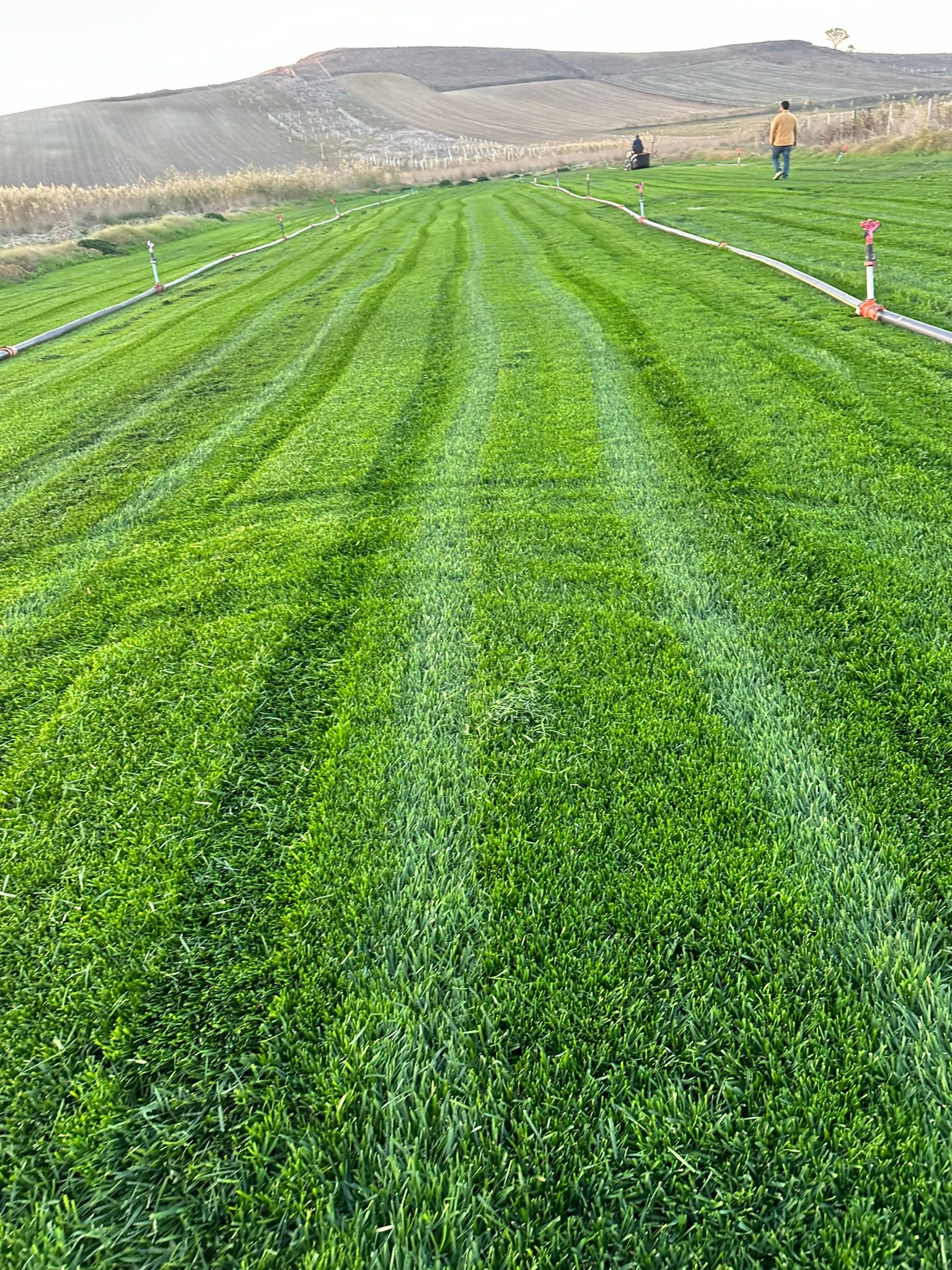 Silivri Rulo Çim Üretimi